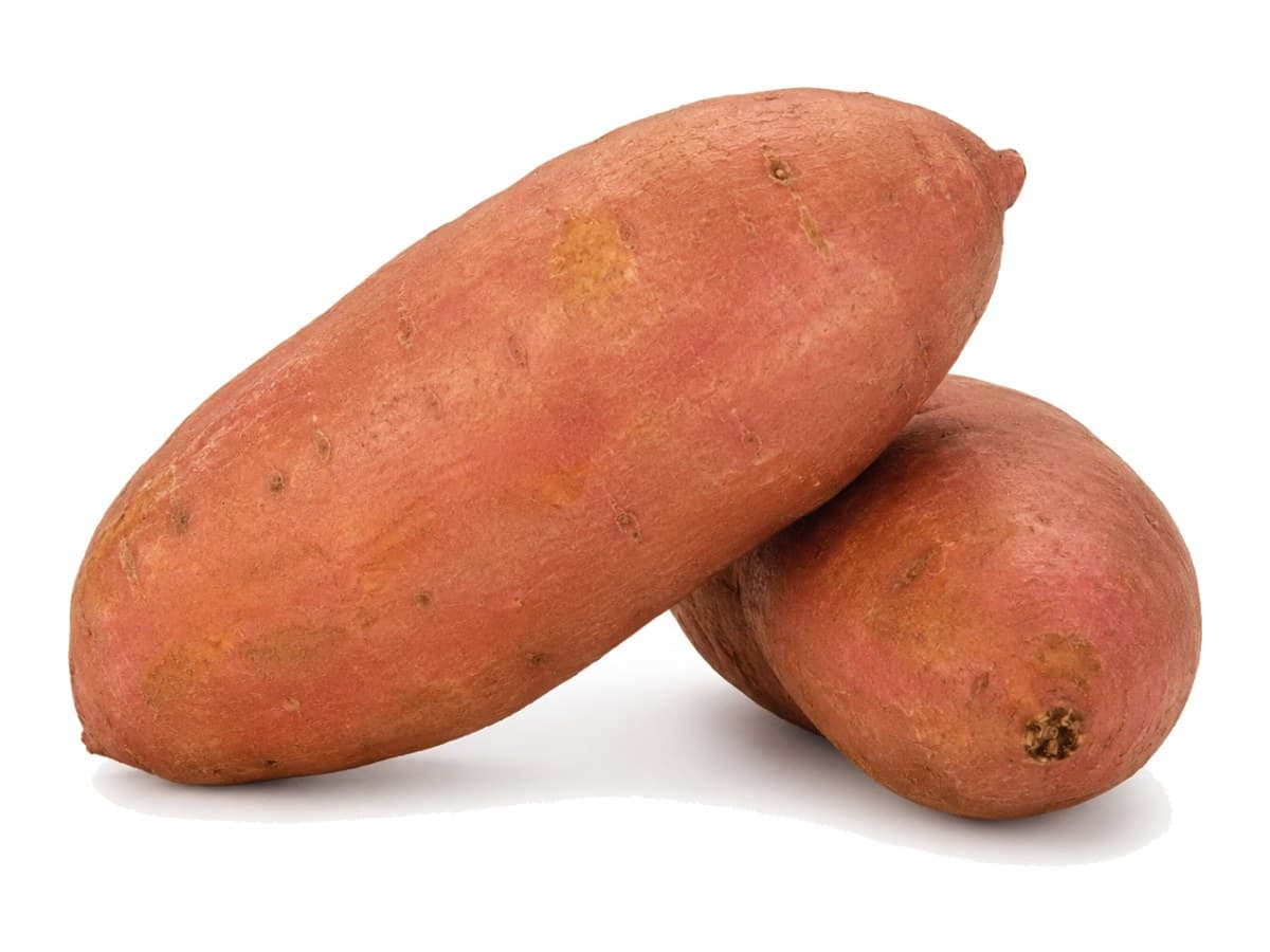 Camote