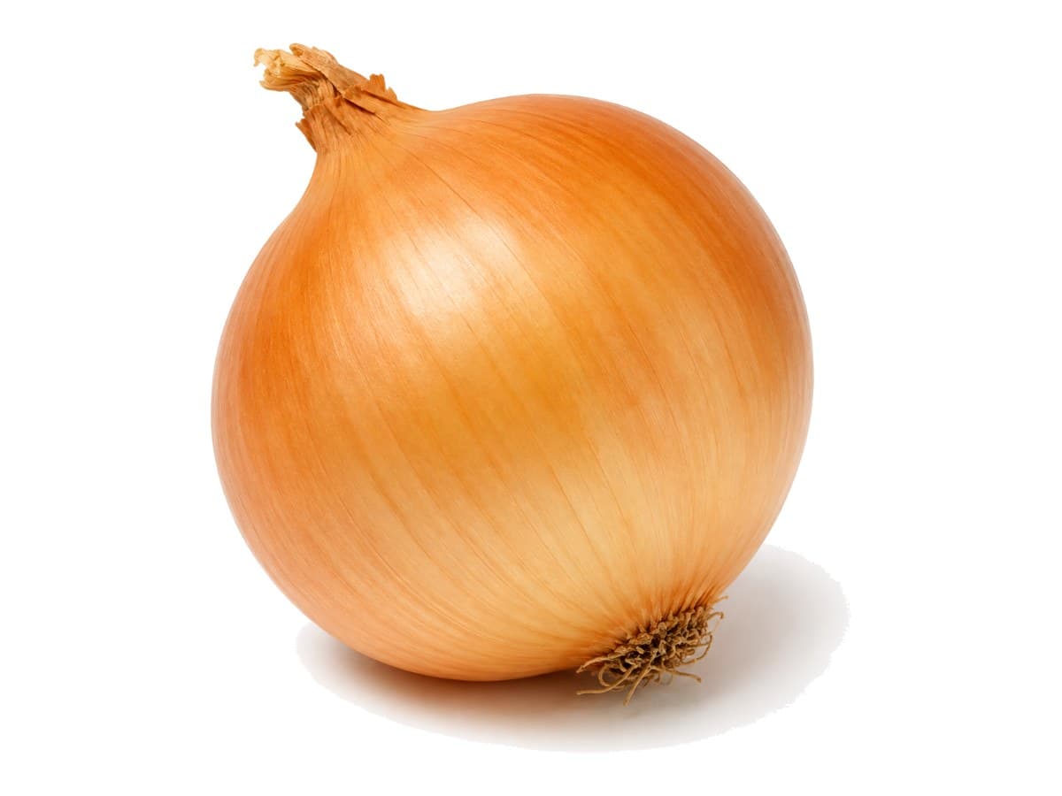 Cebolla