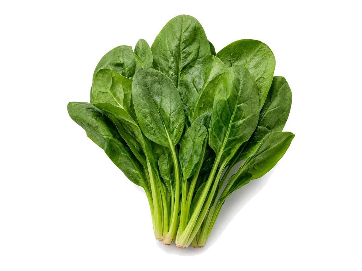 Espinaca