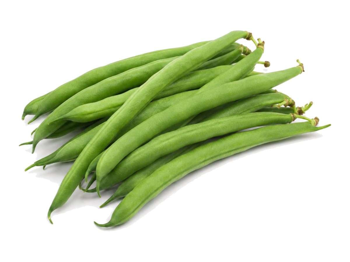 Habichuela