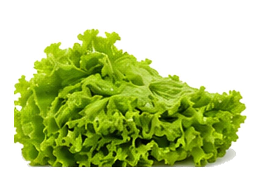 Lechuga nacional