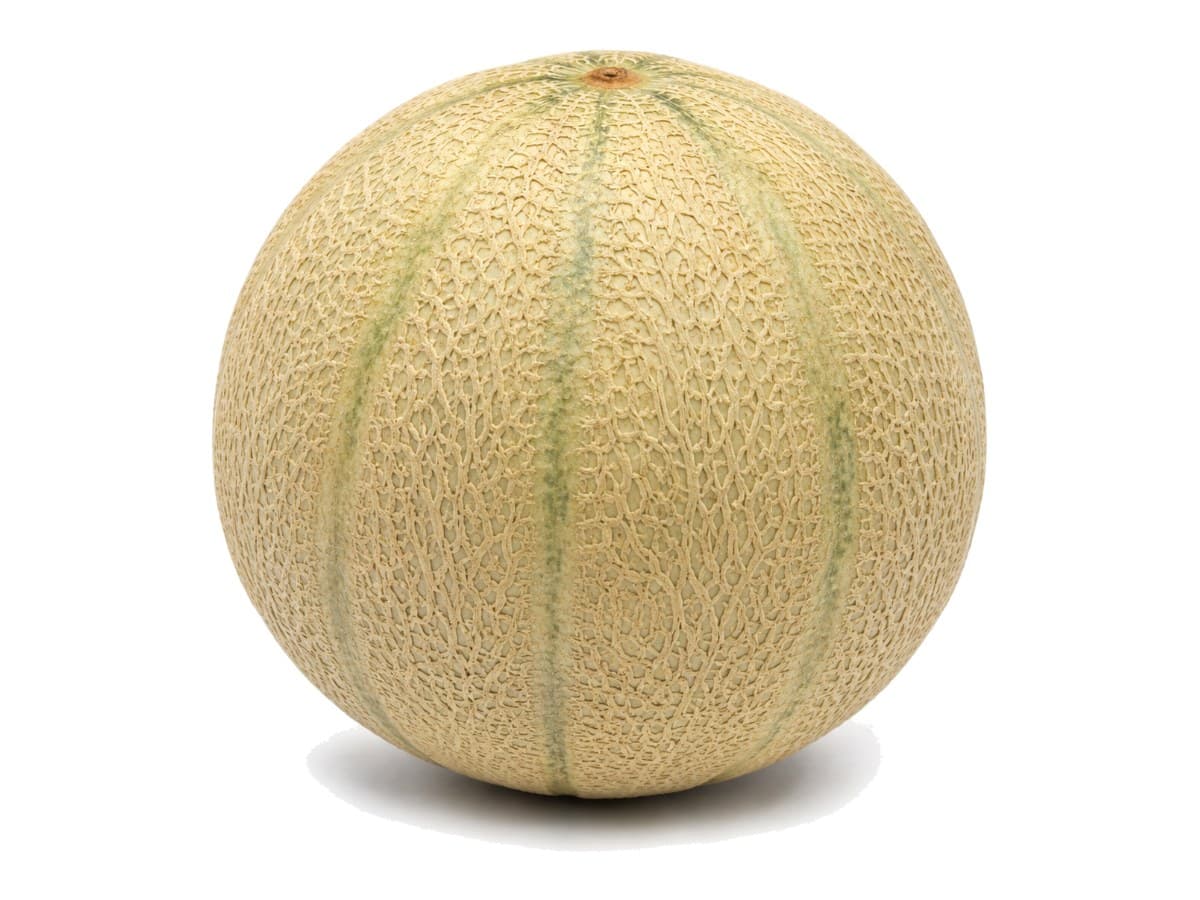 Melón