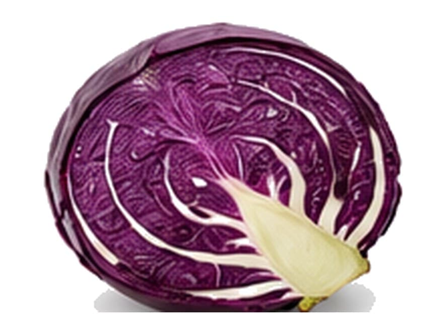 Repollo morado