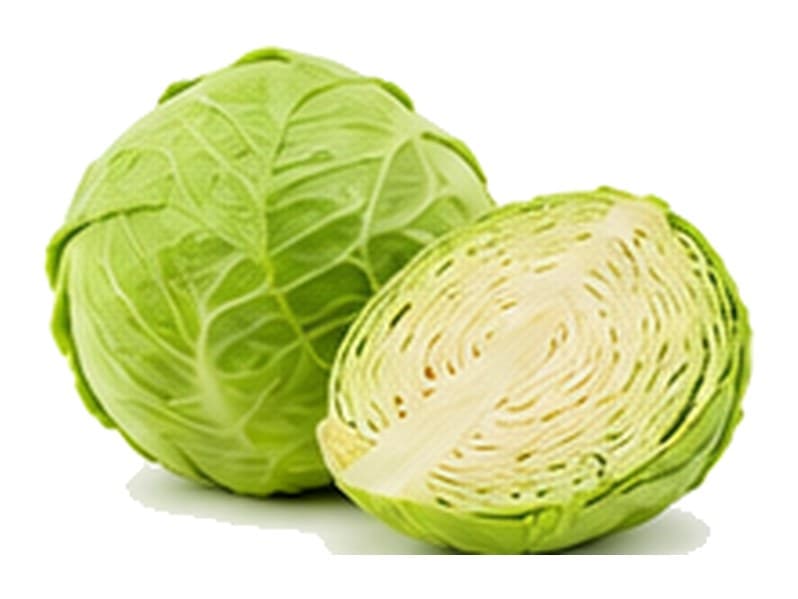 Repollo