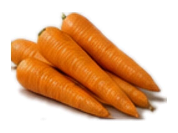 Zanahoria